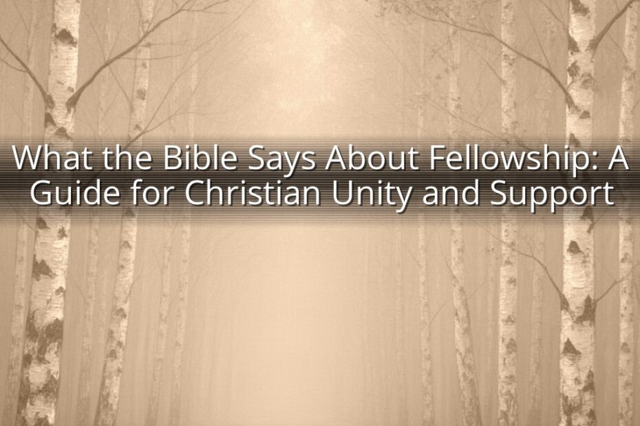 What the Bible Says About Fellowship: A Guide for Christian Unity and Support