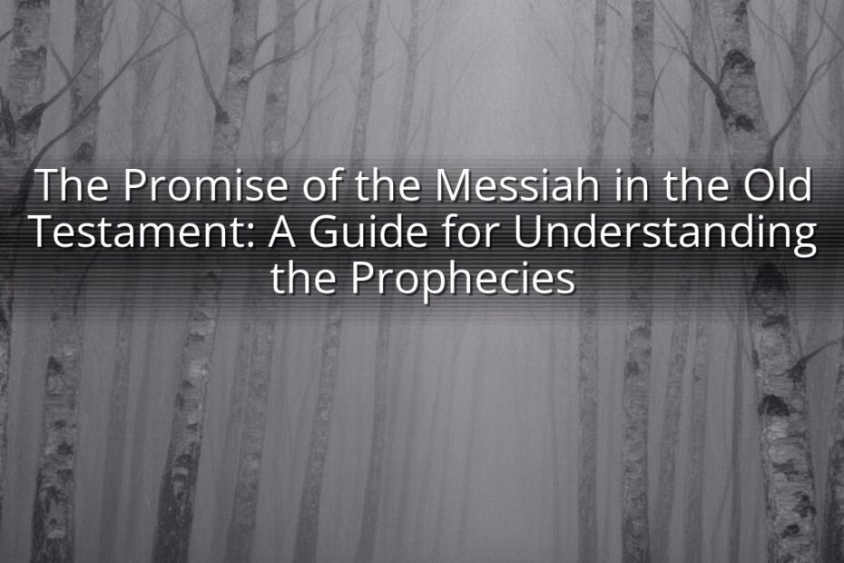 The Promise of the Messiah in the Old Testament: A Guide for Understanding the Prophecies