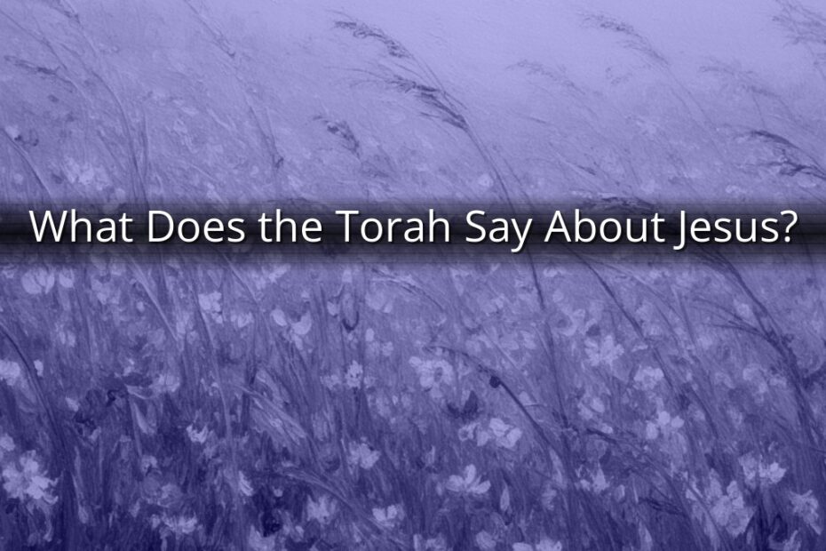 What Does the Torah Say About Jesus?