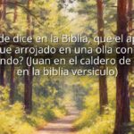 ¿Dónde dice en la Biblia, que el apóstol Juan, fue arrojado en una olla con aceite hirviendo? (Juan en el caldero de aceite en la biblia versiculo)