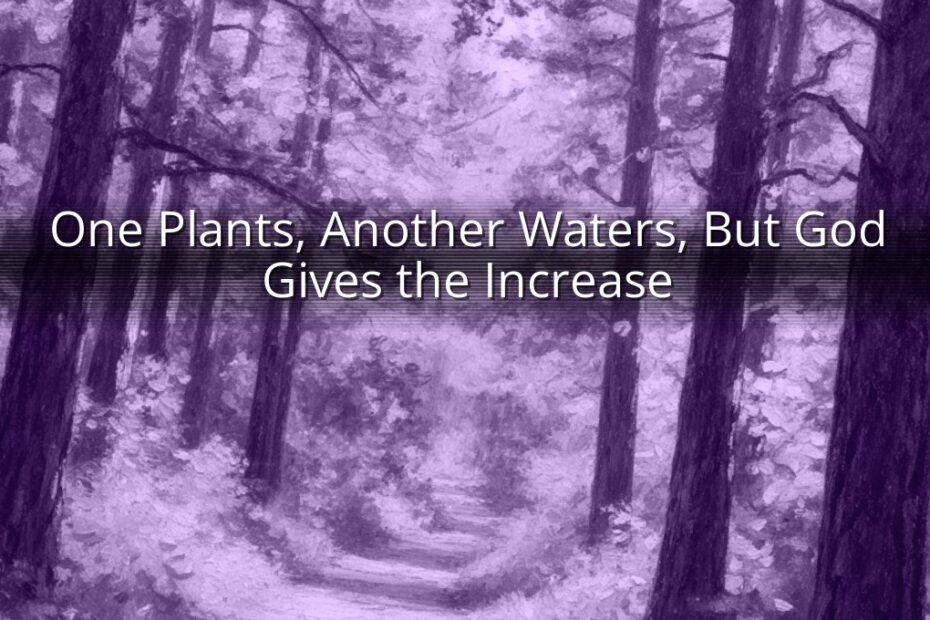 One Plants, Another Waters, But God Gives the Increase