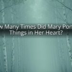 How Many Times Did Mary Ponder Things in Her Heart? How Many Times Did Mary Ponder Things in Her Heart?