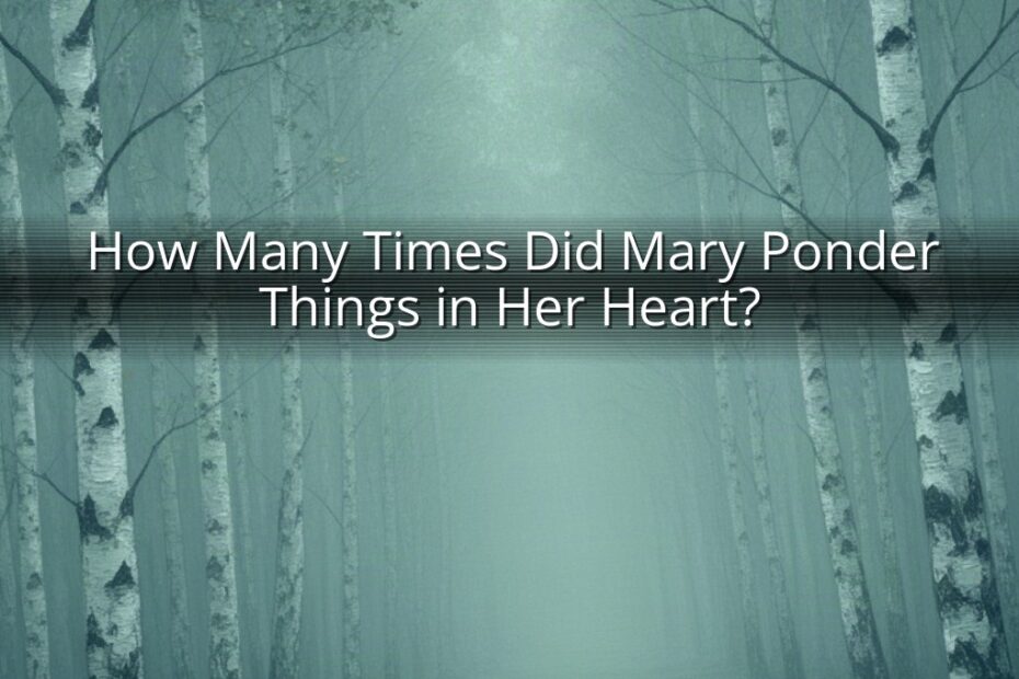 How Many Times Did Mary Ponder Things in Her Heart?