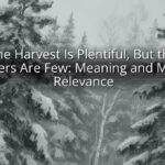 The Harvest Is Plentiful, But the Laborers Are Few: Meaning and Modern Relevance