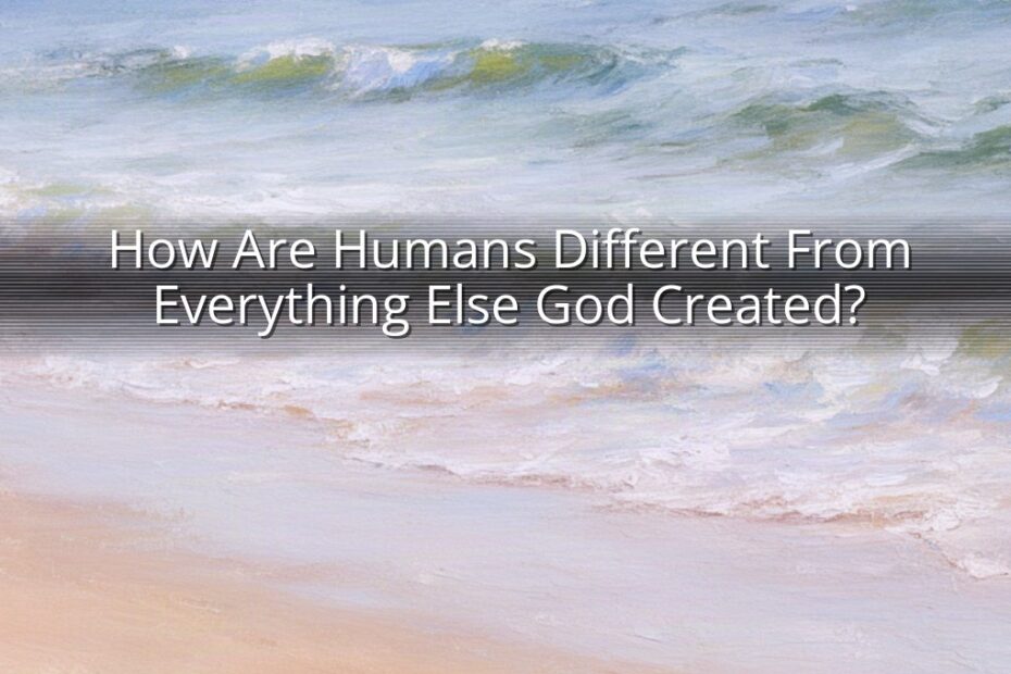 How Are Humans Different From Everything Else God Created?