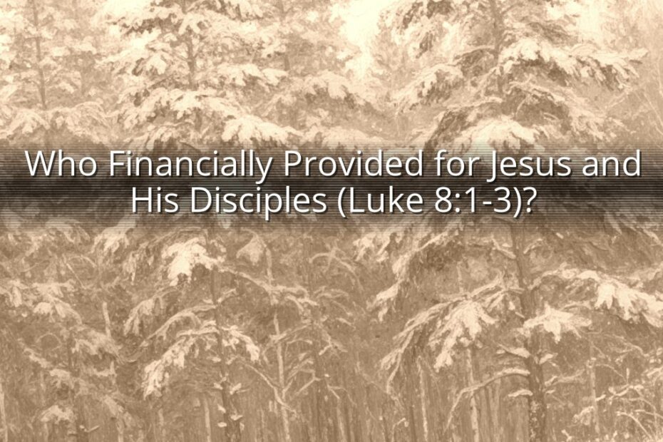 Who Financially Provided for Jesus and His Disciples (Luke 8:1-3)?