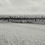 Hebrews 10:24-25 Explained: Why Mutual Encouragement Matters