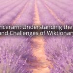 Convenceram: Understanding the Power and Challenges of Wiktionary