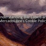 Understanding Bile Labios and MercadoLibre’s Cookie Policy