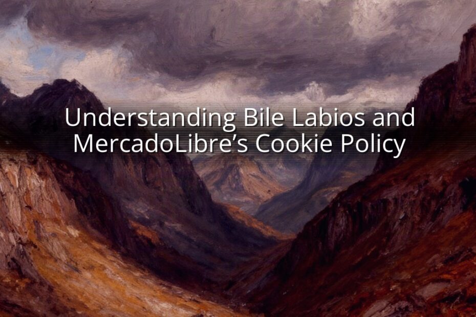 Understanding Bile Labios and MercadoLibre’s Cookie Policy
