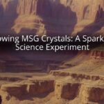 Growing MSG Crystals: A Sparkling Science Experiment