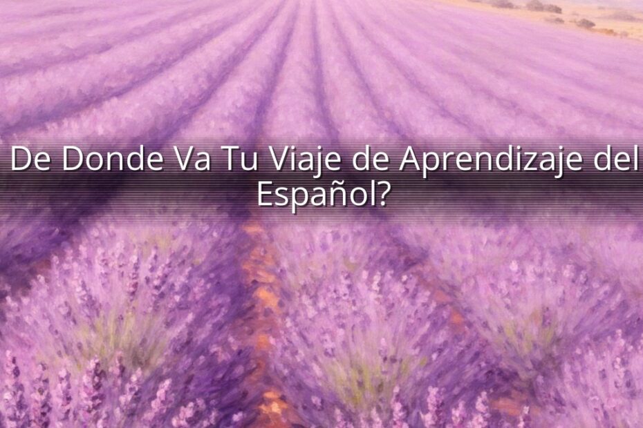 De Donde Va Tu Viaje de Aprendizaje del Español?