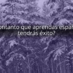 ¿Contanto que aprendas español, tendrás éxito?