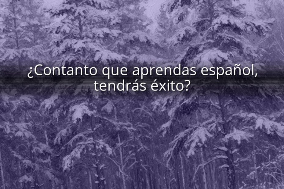 ¿Contanto que aprendas español, tendrás éxito?