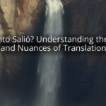 ¿Cuánto Salió? Understanding the Cost and Nuances of Translation
