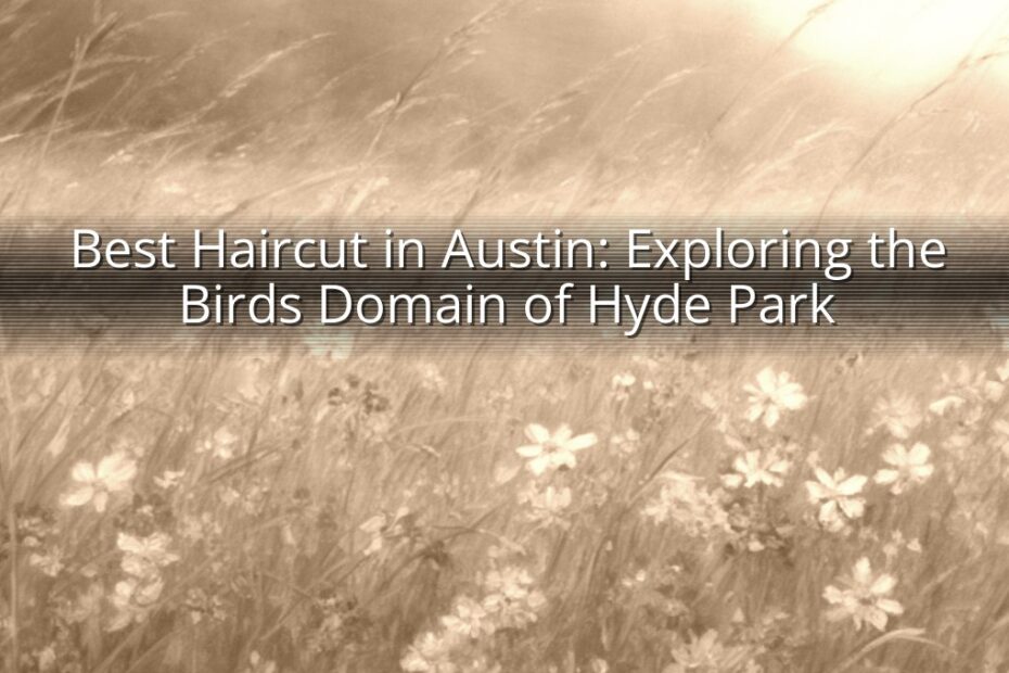 Best Haircut in Austin: Exploring the Birds Domain of Hyde Park