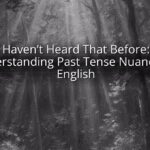 Haven’t Heard That Before: Understanding Past Tense Nuances in English