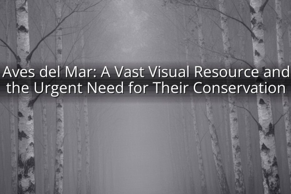 Aves del Mar: A Vast Visual Resource and the Urgent Need for Their Conservation