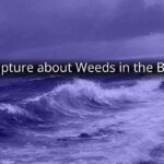 Scripture about Weeds in the Bible Scripture about Weeds in the Bible