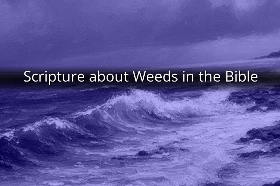 Scripture about Weeds in the Bible