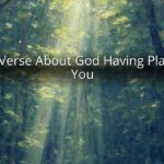 Bible Verse About God Having Plans for You