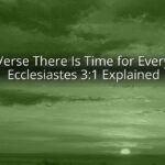Bible Verse There Is Time for Everything: Ecclesiastes 3:1 Explained