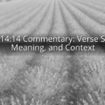 John 14:14 Commentary: Verse Study, Meaning, and Context