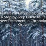 New Testament Chronological Reading Plan: A Step-by-Step Guide to Reading the New Testament in Chronological Order