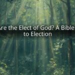 Who Are the Elect of God? A Bible Guide to Election