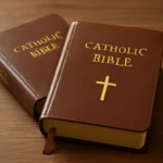 catholic bibles