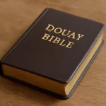 douay bible book