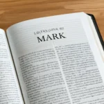 legacy standard bible