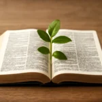 living bible