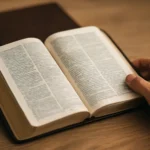 Living Translation Bible: A Practical Guide living translation bible